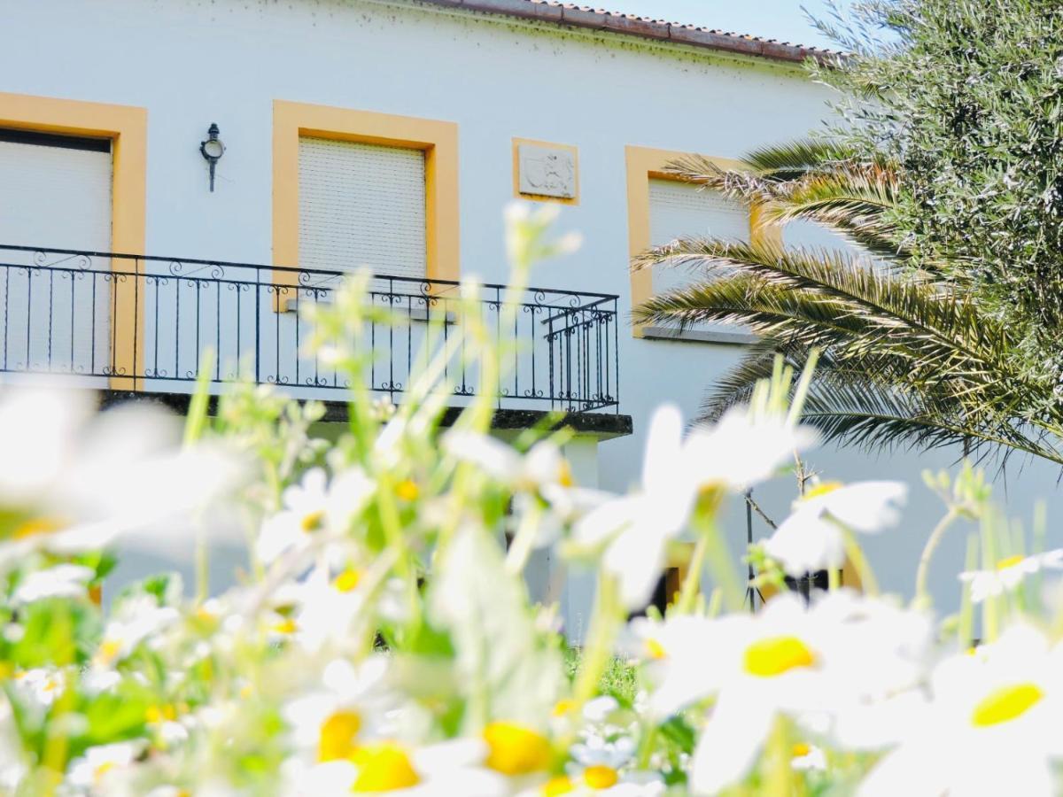 Nogueira Country House Guest House Fundao Luaran gambar