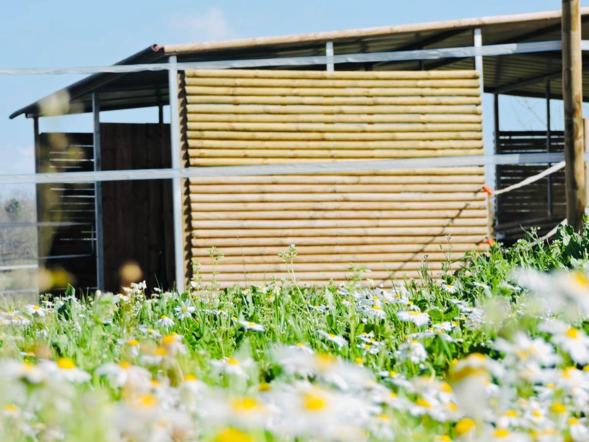 Nogueira Country House Guest House Fundao Luaran gambar